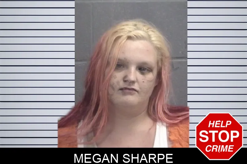 Megan Sharpe Mugshots