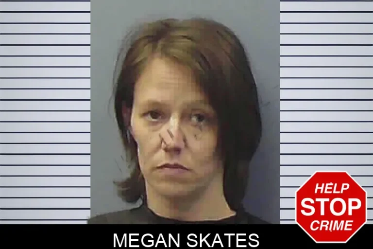 Megan Skates mugshot – Chattooga County , Georgia Megan Skates