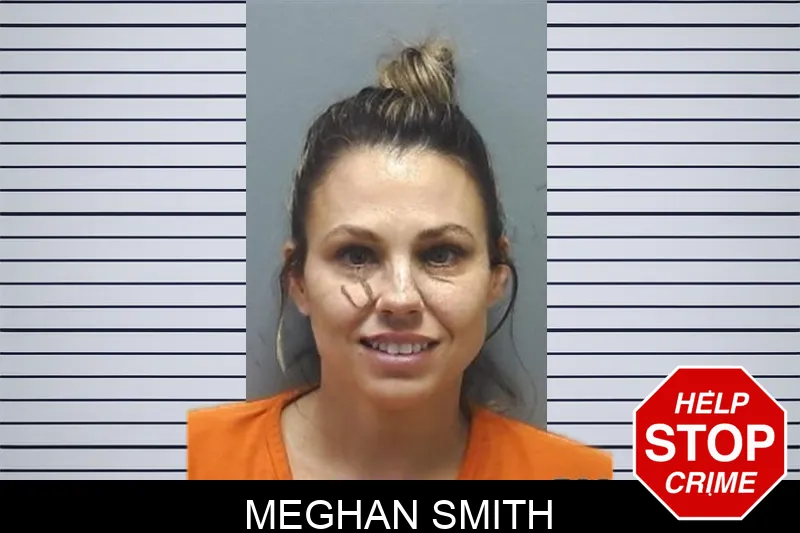 Meghan Smith mugshot – Cherokee County , Georgia Meghan Smith mugshot
