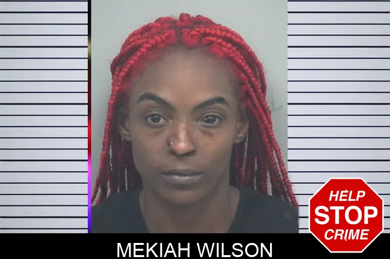 Mekiah Wilson mugshot