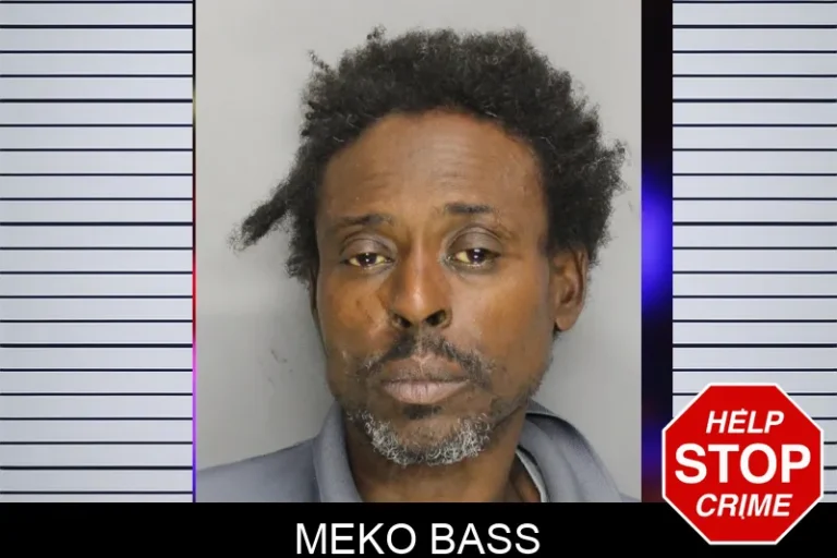 Meko Bass
