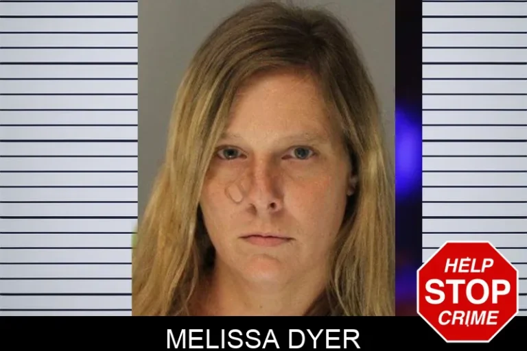 Melissa Dyer mugshot – Hall County , Georgia Melissa Dyer