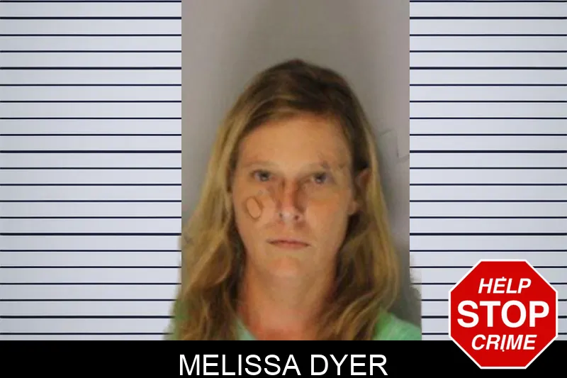 Melissa Dyer mugshot – Hall County , Georgia Melissa Dyer mugshot