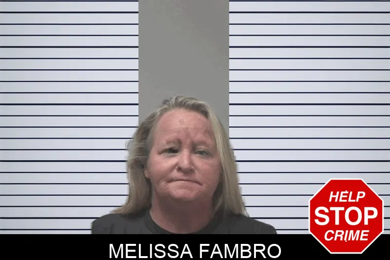 Melissa Fambro Mugshots