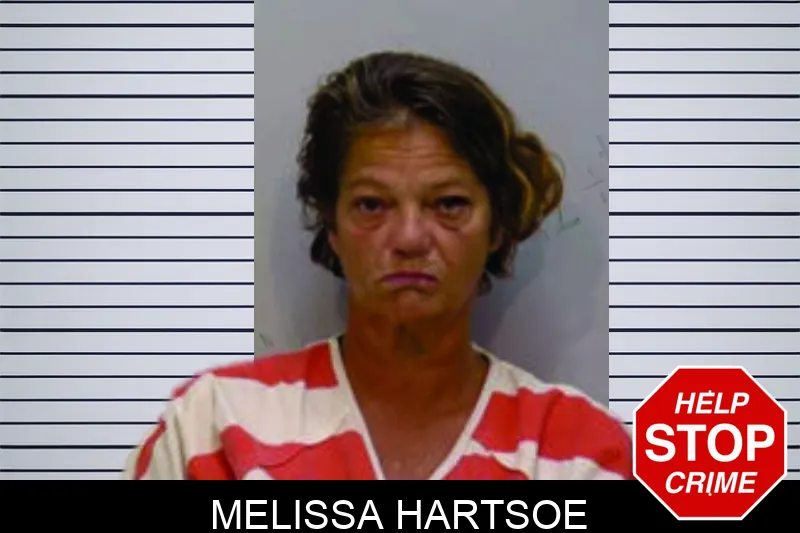 Melissa Hartsoe mugshot