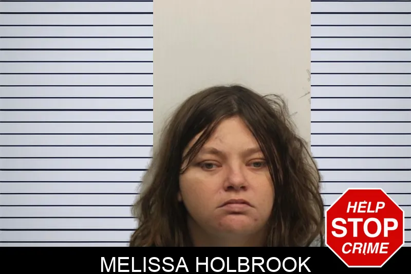 Melissa Holbrook mugshot