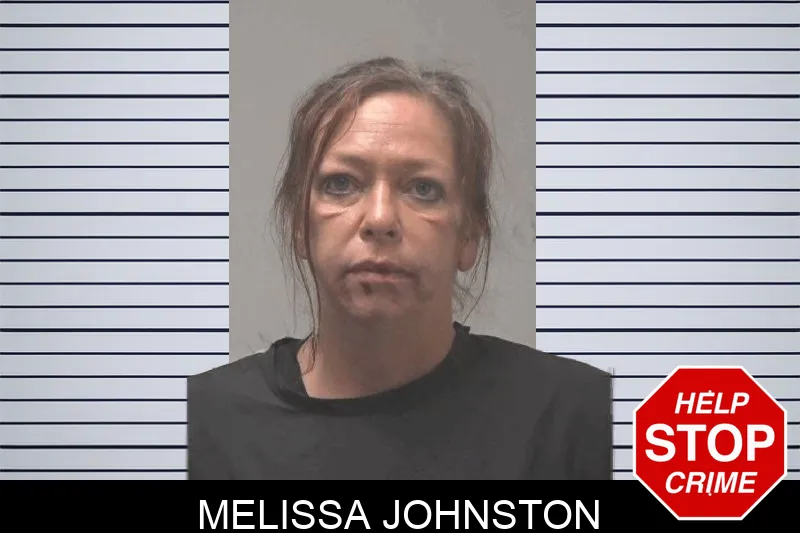 Melissa Johnston mugshot – Coweta County , Georgia Melissa Johnston mugshot