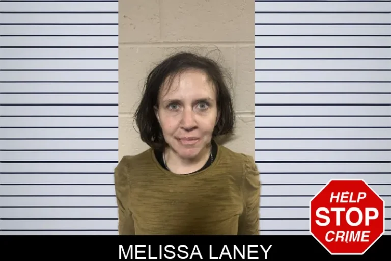 Melissa Laney mugshot – Henry County , Georgia Melissa Laney