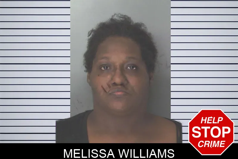 Melissa Williams Mugshots