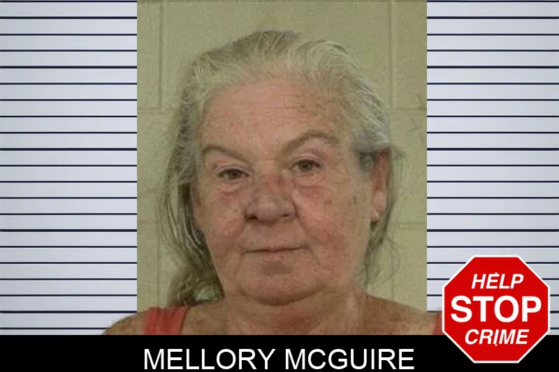 Mellory McGuire mugshot – Liberty County , Georgia Mellory McGuire mugshot