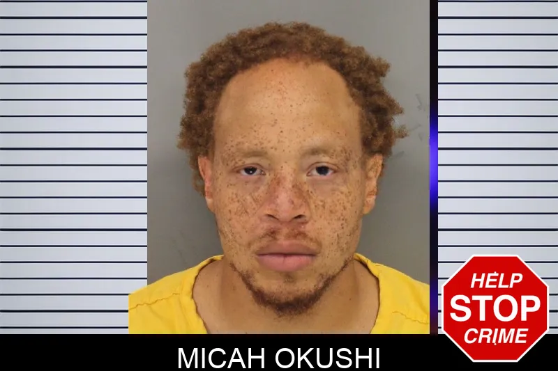 Micah Okushi Mugshots