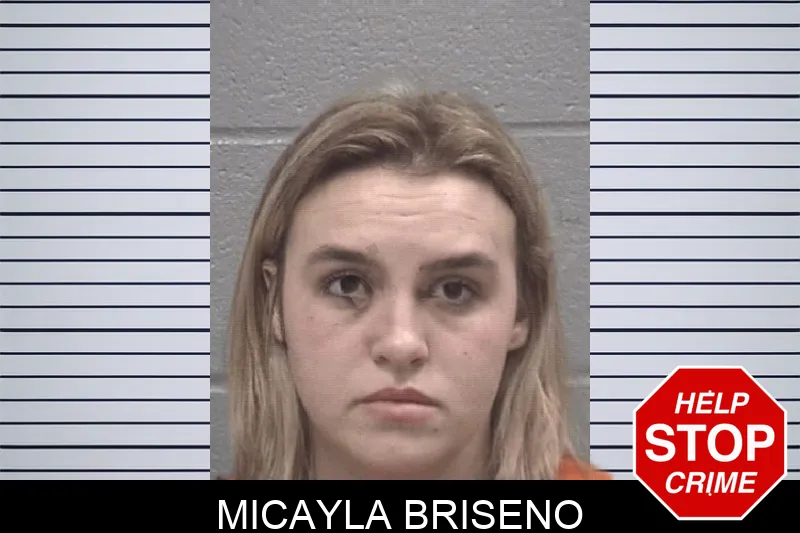 Micayla Briseno