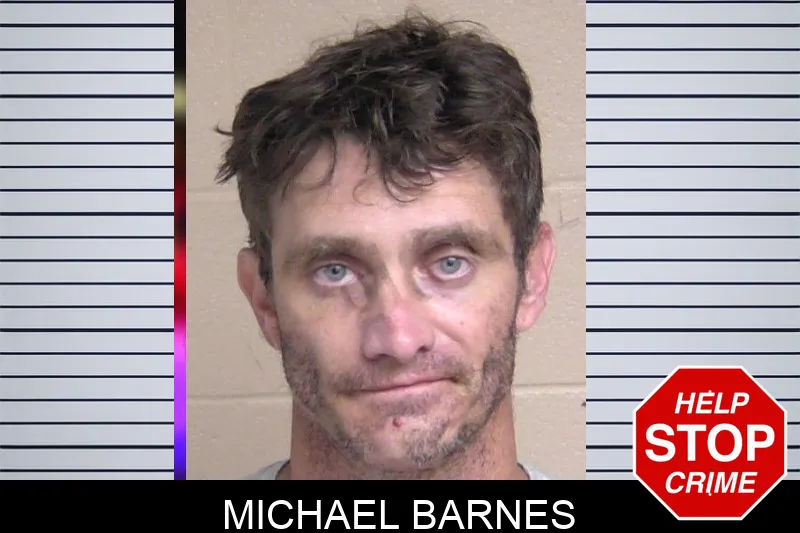 Michael Barnes Mugshots