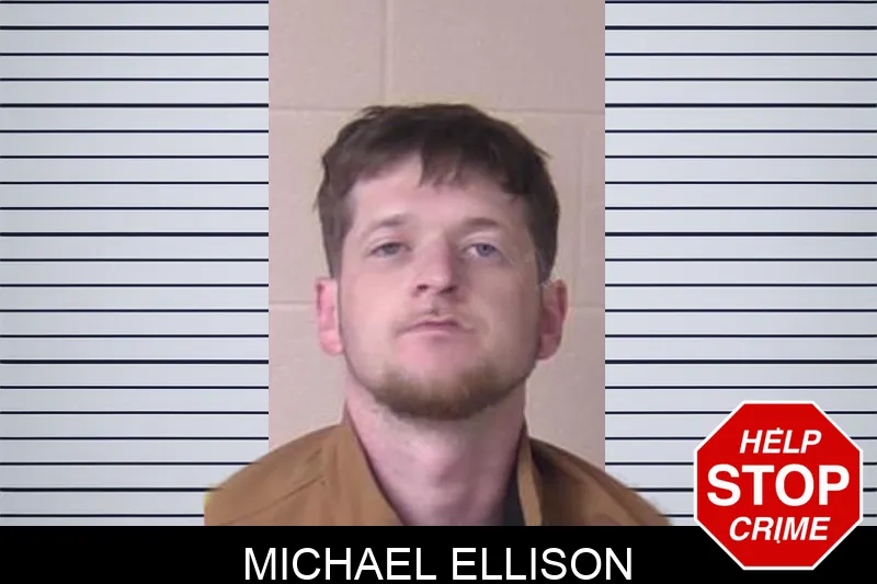 Michael Ellison mugshot