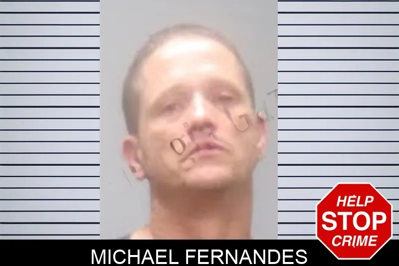 Michael Fernandes mugshot