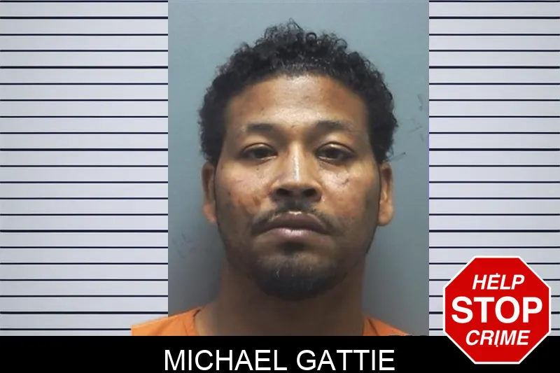 Michael Gattie Mugshots