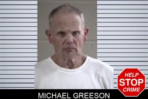 Michael Greeson mugshot