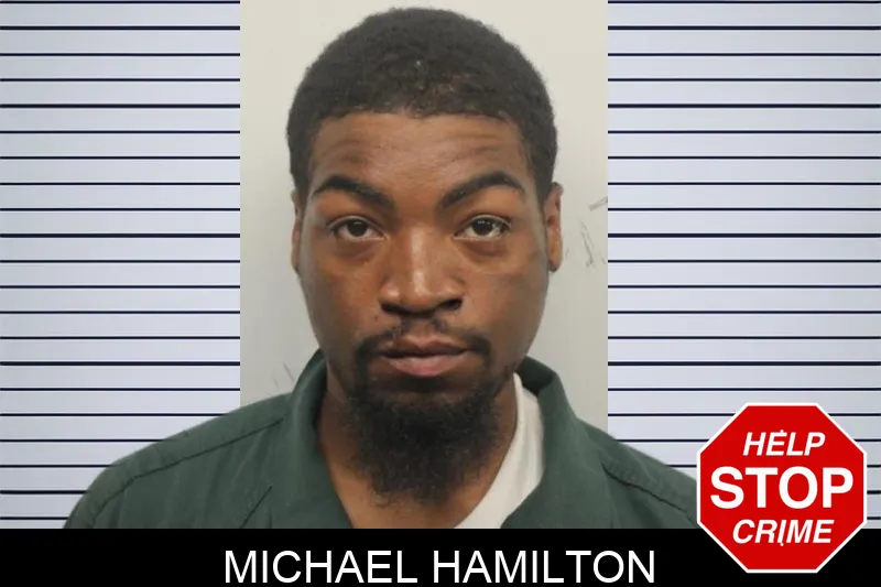 Michael Hamilton mugshot