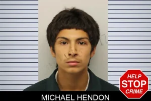 Michael Hendon mugshot