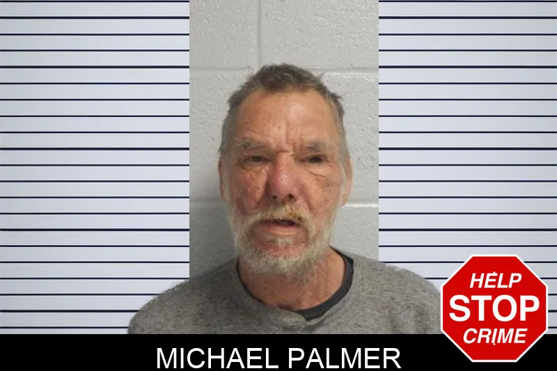 Michael Palmer