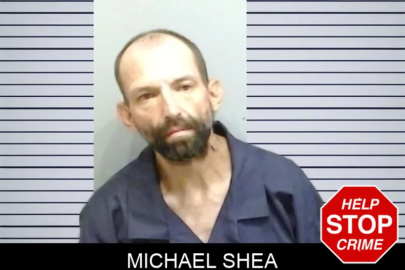 Michael Shea mugshot
