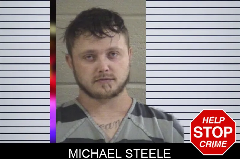 Michael Steele Mugshots