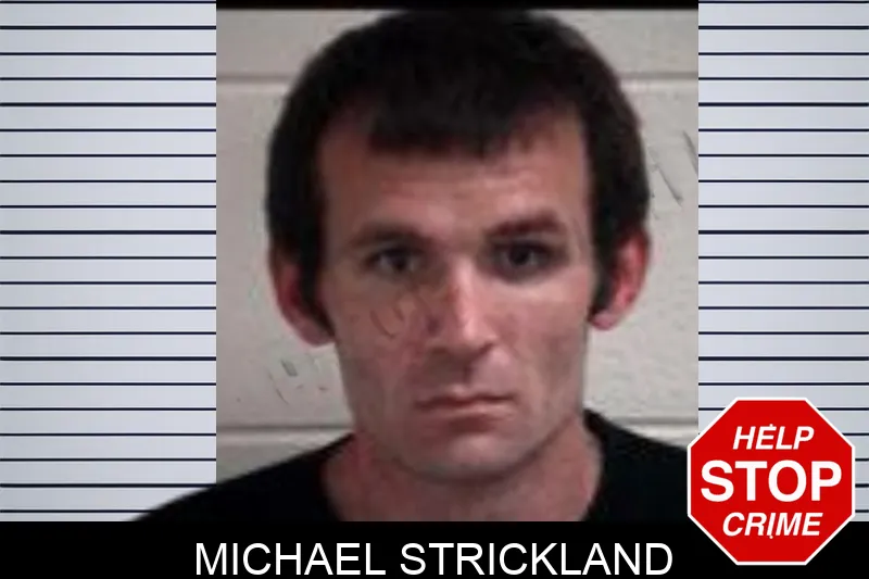 Michael Strickland mugshot – Henry County , Georgia Michael Strickland mugshot