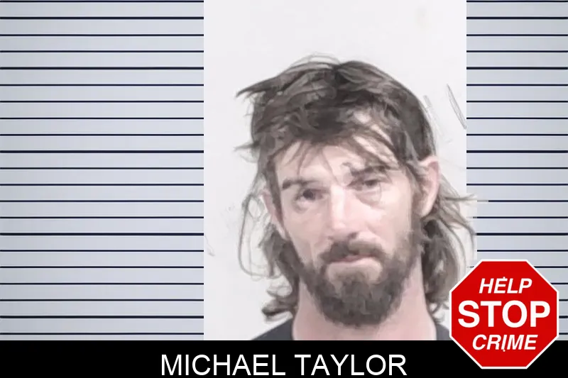 Michael Taylor mugshot