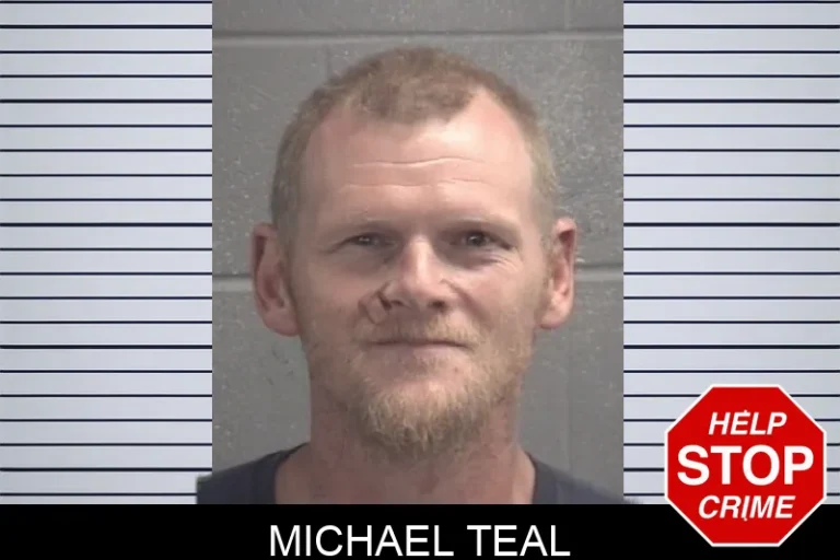 Michael Teal