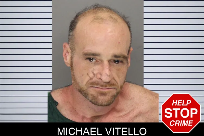 Michael Vitello mugshot