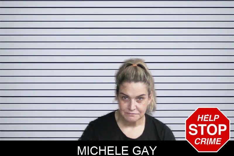 Michele Gay