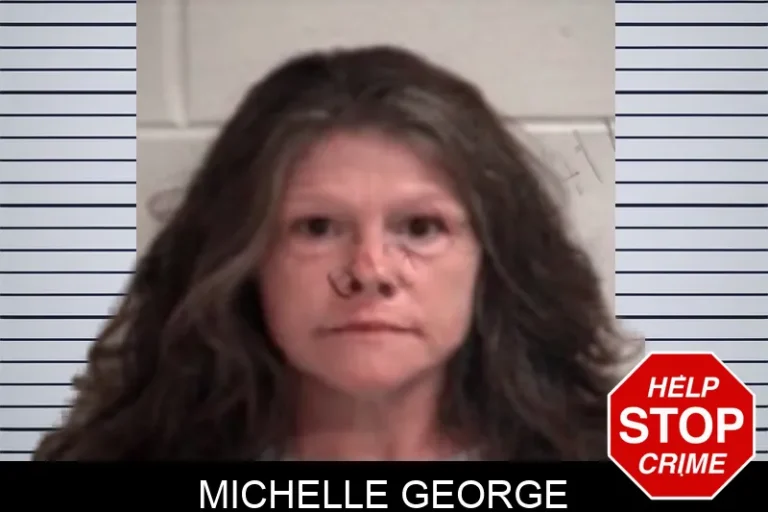 Michelle George mugshot – Henry County , Georgia Michelle George