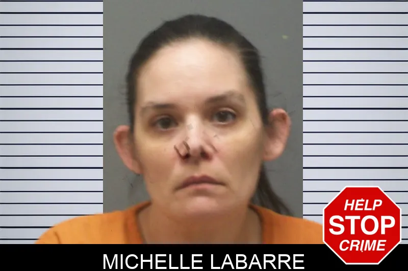 Michelle Labarre mugshot – Cherokee County , Georgia Michelle Labarre mugshot