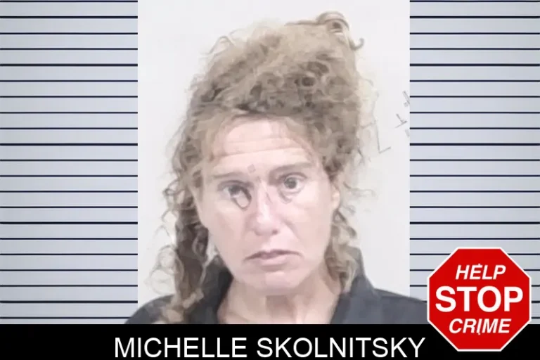 Michelle Skolnitsky mugshot – Lowndes County , Georgia Michelle Skolnitsky