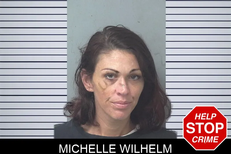 Michelle Wilhelm Mugshots