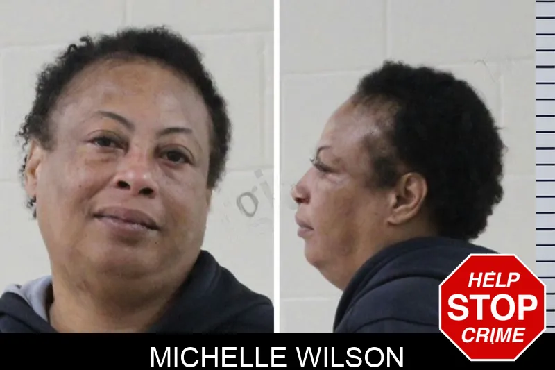 Michelle Wilson mugshot