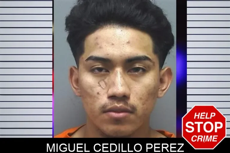 Miguel Cedillo Perez