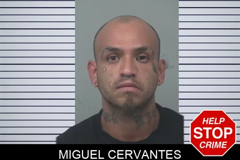 Miguel Cervantes