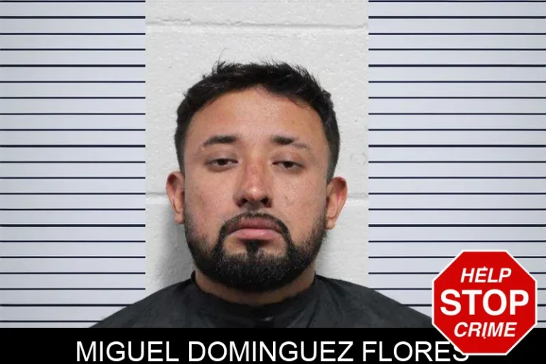 Miguel Dominguez Flores