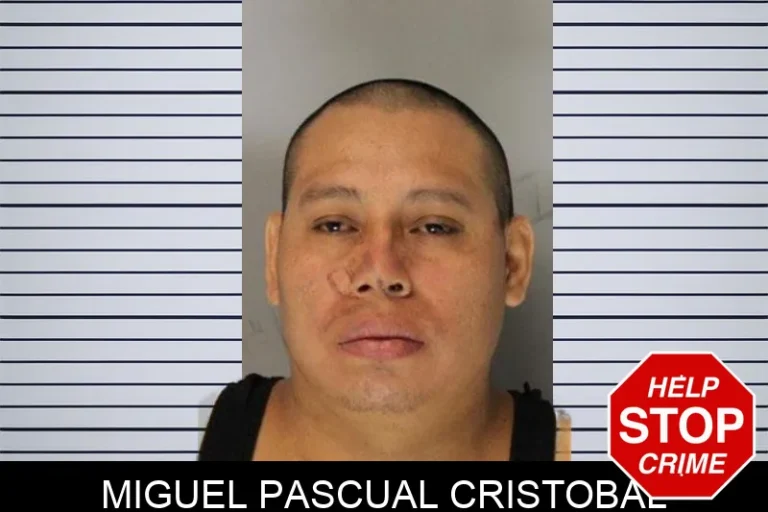 Miguel Pascual Cristobal mugshot – Hall County , Georgia Miguel Pascual Cristobal