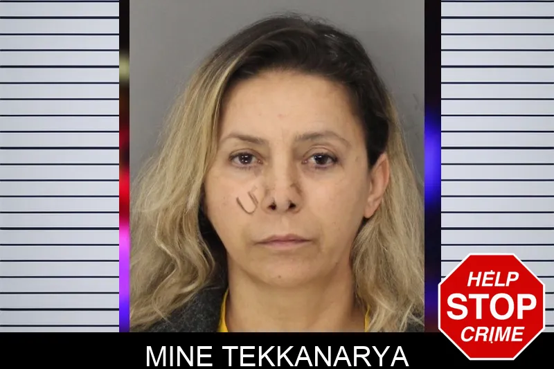 Mine Tekkanarya mugshot – Cobb County , Georgia Mine Tekkanarya mugshot