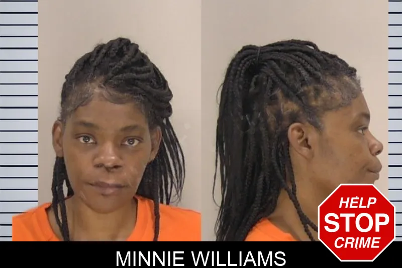 Minnie Williams mugshot