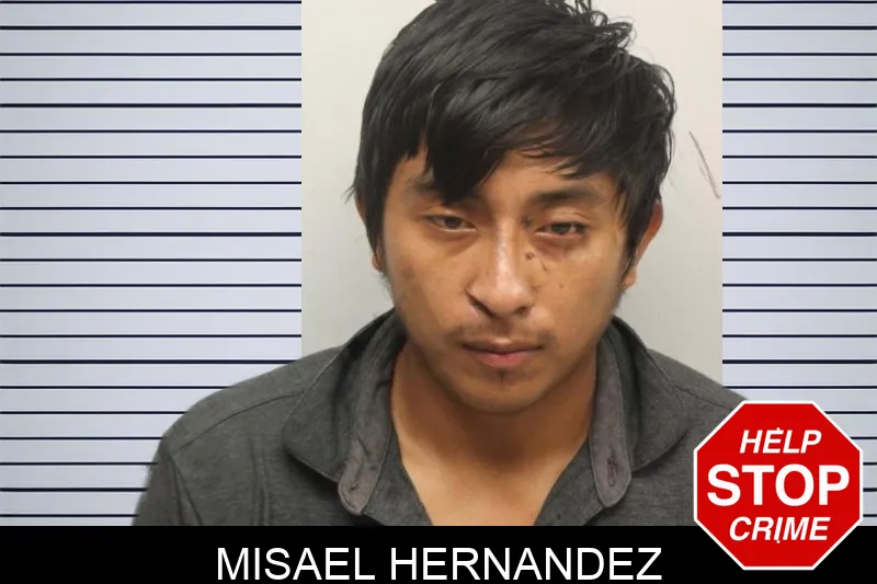 Misael Hernandez mugshot