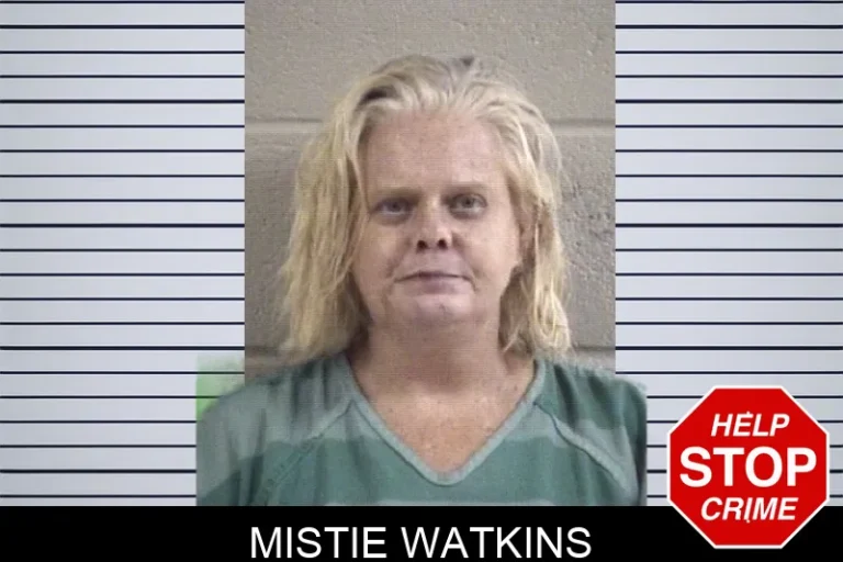 Mistie Watkins mugshot – Whitfield County , Georgia Mistie Watkins