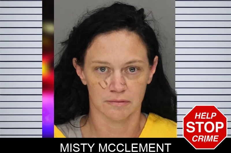 Misty McClement mugshot
