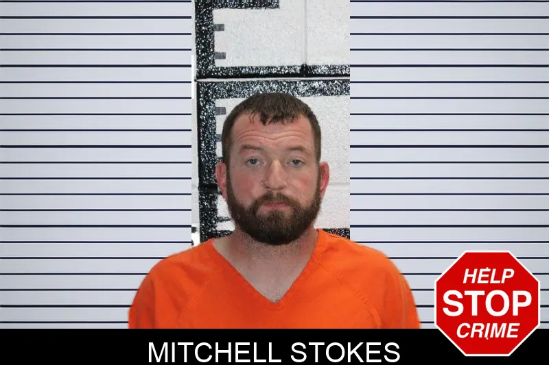 Mitchell Stokes Mugshots