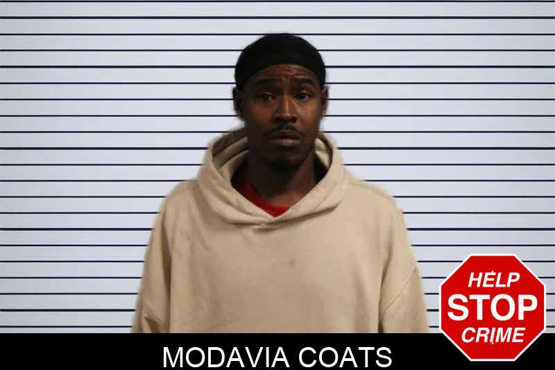 Modavia Coats