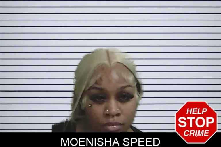 Moenisha Speed mugshot – Wayne County , Georgia Moenisha Speed