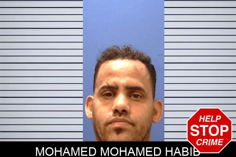 Mohamed Mohamed Habib