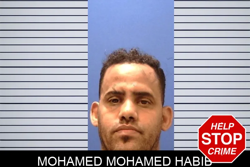 Mohamed Mohamed Habib